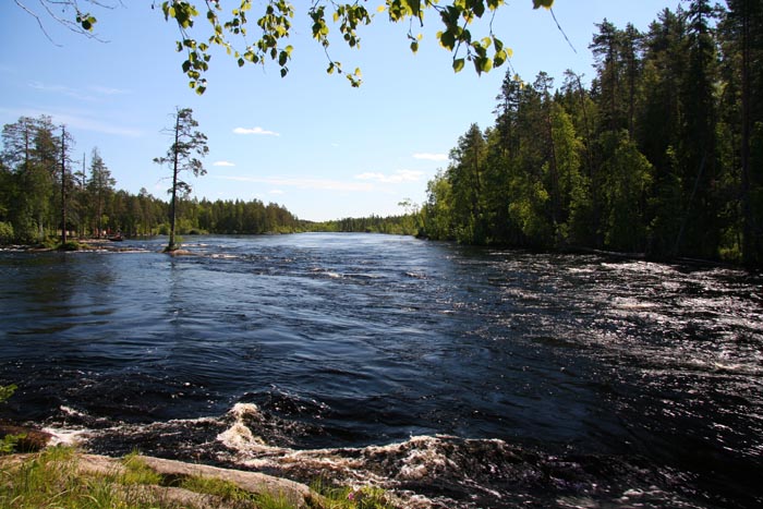 40