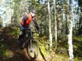 lahtisafari11