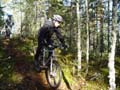 lahtisafari12