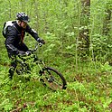 m3_200915.jpg