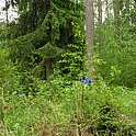 m3_200922.jpg